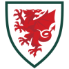Landslagsdrakt Wales