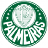 Palmeiras Fotballdrakt