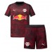 RB Leipzig Timo Werner #36 Tredjedraktsett Barn 2025-26 Korte ermer (+ Korte bukser)