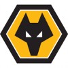 Wolves Barneklær